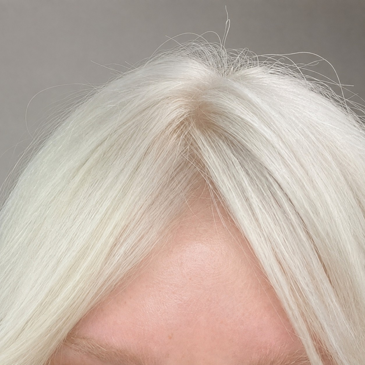 Close-up of a platinum root at six weeks, showing how far the regrowth has moved
